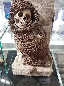 Mumia z Peru (kultura Chachapoyas).
