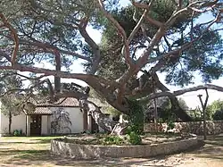 Dawna rezydencja, obecnie muzeum Giuseppe Garibaldiego