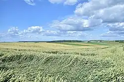 Widok równiny w Mycowie