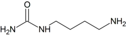 N-Karbamoiloputrescyna