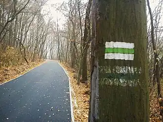 Szlak  nr 3572 nad jeziorem Kierskim