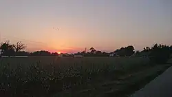 Widok wsi z kluczem dzikich gęsi