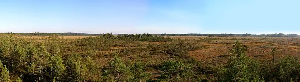 Widok z wieży obserwacyjnej