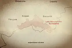 Plan Lasy Bierzwnickie