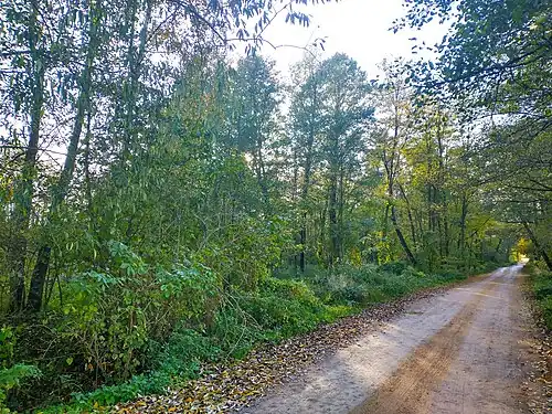 Droga przy rezerwacie