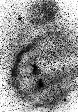 Powyższe czarno-białe zdjęcie Pętli Barnard (w odwróconych kolorach), wykonane w świetle czerwonym, pozwala lepiej dostrzec kształt mgławicy