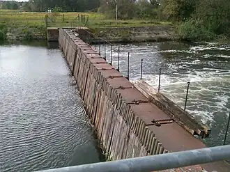 Jaz kozłowo-iglicowy, Brandenburgia