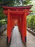 Torii