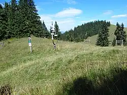 Skrzyżowanie szlaków