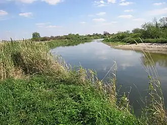 Środkowy bieg rzeki