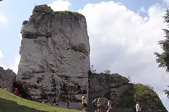 Niedźwiedź od północy