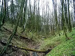 "Wały Jaćwingowskie"