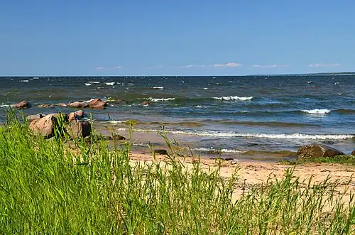 Wybrzeże Zatoki Ryskiej na terenie rezerwatu (2013)