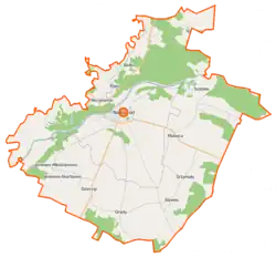 Mapa konturowa gminy Nowogród, na dole nieco na lewo znajduje się punkt z opisem „Dzierzgi”