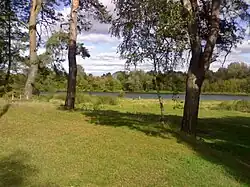 Widok z Nowego Lubiela na Narew