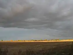 Oświetlone pola w Woli Puczniewskiej