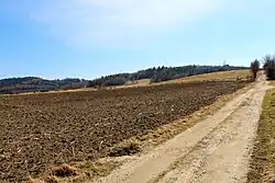 Krajobraz podgórski w brązowych barwach z niebieskim niebem. Po prawej stronie droga gruntowa kierująca się pod górkę. Po lewej ciemniejsze pole, świeżo po zaoraniu. W tle pasmo niewysokich gór.