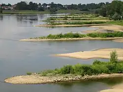 Odra w pobliżu Aurith, Niemcy