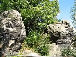 Odsłonięcie geologiczne przy Al. Armii Krajowej w Starachowicach