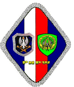 Odznaka Pamiątkowa PNPW przy SHAPE