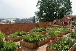 Ogrody królewskie (część górna) 2006