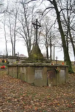 Stary cmentarz. Grób Szyców