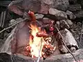 Pieczenie buřtów na ognisku