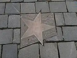 Gwiazda zespołu Skaldowie