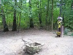 Studzienka w pobliskim lesie przy ul. Borki