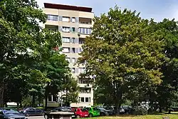 Wnętrze osiedla,os. Albertyńskie 14