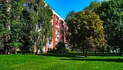 Wnętrze osiedla, blok przy ul. Armii Krajowej 83