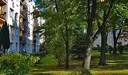 Wnętrze osiedla, bloki przy ul. Nowosądeckiej 13 i 15