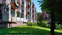 Wnętrze osiedla, zieleniec, blok 40