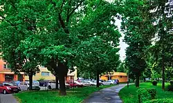 Wnętrze osiedla, zieleniec, w tle – blok 6