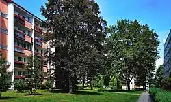 Wnętrze osiedla, os. Tysiąclecia 36 i 31