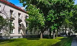 Wnętrze osiedlaos. Willowe 4 i 9