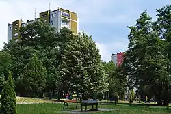 Wnętrze osiedla, plac zabaw,os. Złotego Wieku 64 i 53