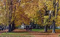 Widok od strony południowej