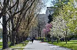 Wokół osiedla biegnie ścieżka rowerowa.