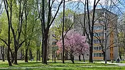 Widok z os. Centrum D, ze wschodu. Bloki 13, 12 i 11.