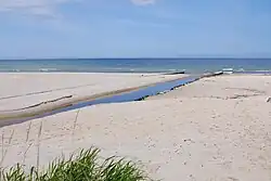 Czarna Woda, ujście do morza