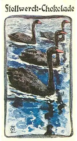 Czarne łabędzie, 1902