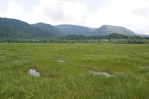 Mokradła na terenie prefektury Fukushima