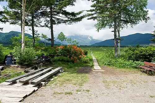 Wejście na mokradła