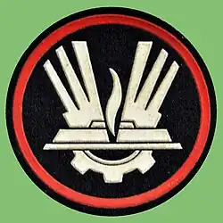 Oznaka rozpoznawcza rodzajów wojsk