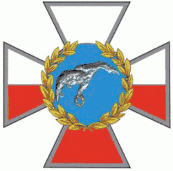 Odznaka Honorowa Sił Powietrznych