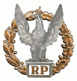 Zasluzony Zolnierz RP 3-st