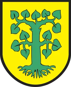Herb gminy Borne Sulinowo
