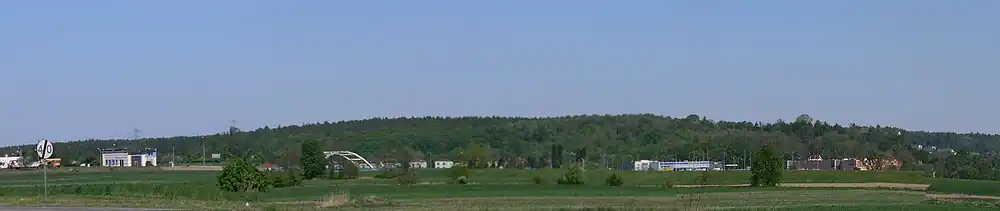 Widok na las miejski w Oborze