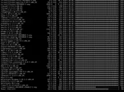 Zrzut ekranu pacstrap podczas instalacji Arch Linux